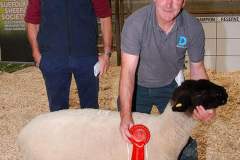 Sheep-showSale-Roscrea-3-7-24-14