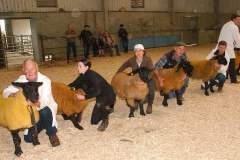 Sheep-showSale-Roscrea-3-7-24-2