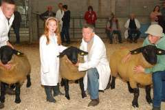 Sheep-showSale-Roscrea-3-7-24-34