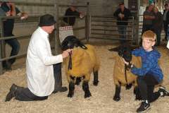 Sheep-showSale-Roscrea-3-7-24-37-Copy