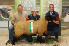 Sheep-showSale-Roscrea-3-7-24-55