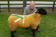 Sheep-showSale-Roscrea-3-7-24-70-1