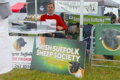 Irish-Suffolks-at-Sheep-23-04