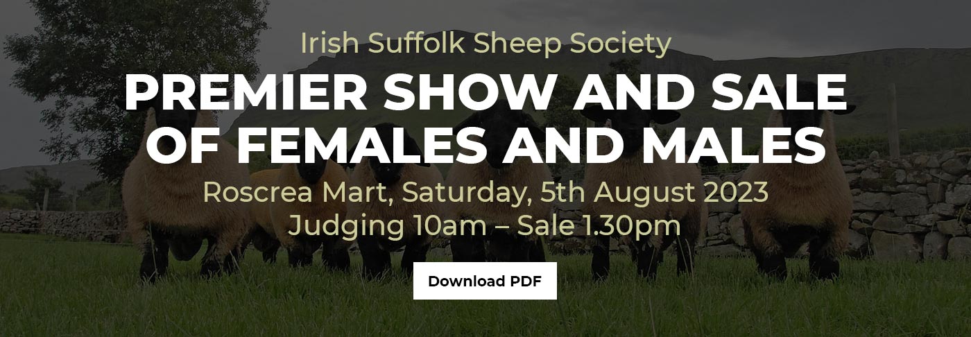 Irish Suffolk Sheep Society Premier Sale 2023