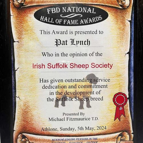 Pat Lynch Recepient of 2024 Hall of Fme awards on behalf of the Irish Suffolk Sheep Society