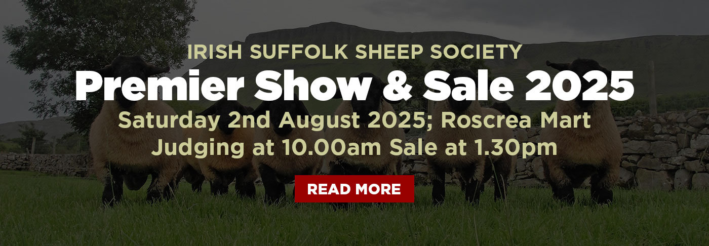 Annual Sale Banner
