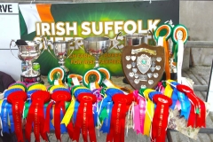 2025-suffolk-sheep-29