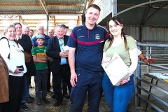 2025-suffolk-sheep-39