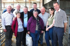 2025-suffolk-sheep-47