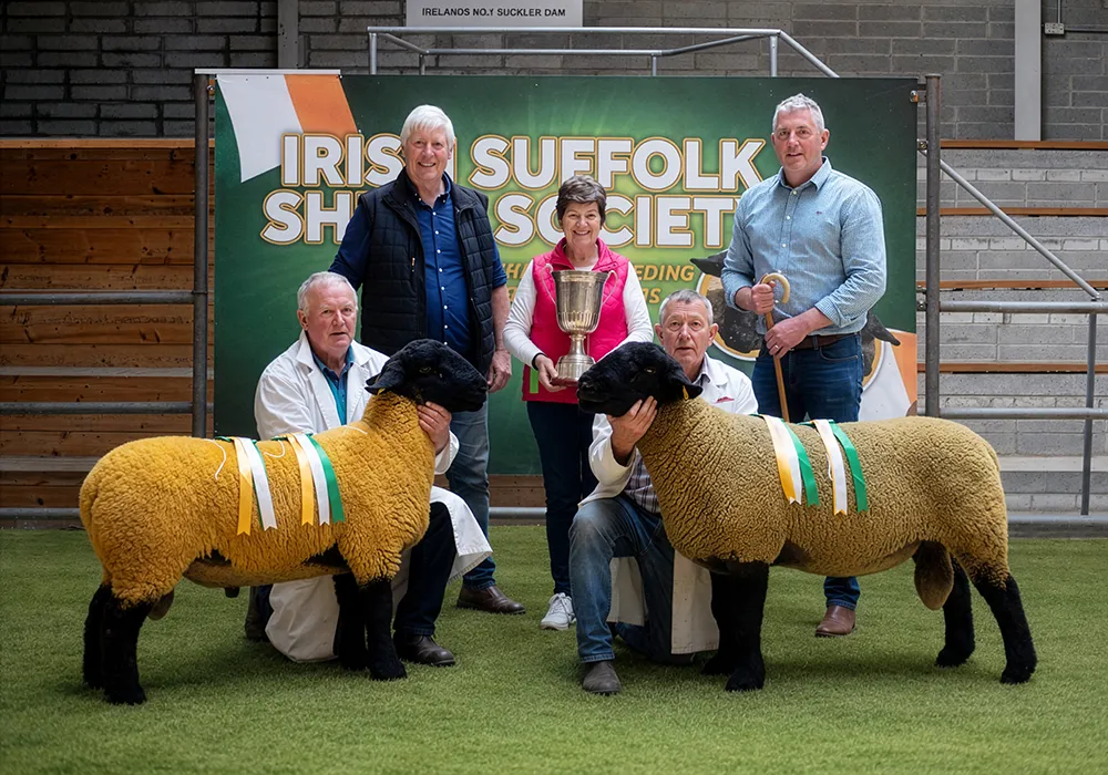 2026 Roscrea Sale Presentation