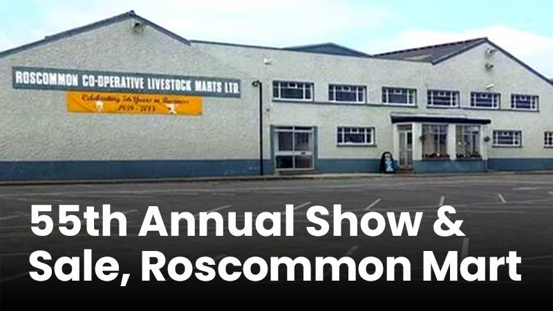 55th Roscommon 2026
